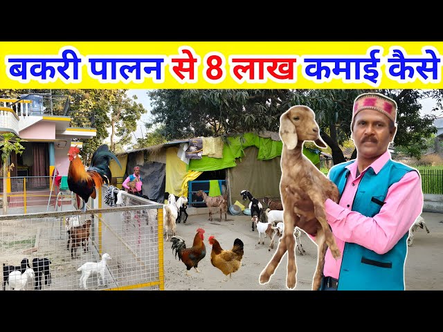 डॉक्टर + साहब का शानदार बकरी फार्म | Goat farm | Poultry farming l