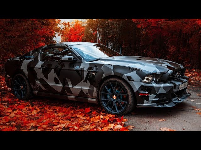 BASS BOOSTED SONGS 2025🔈 CAR MUSIC 2025 🔈 BASS MUSIC