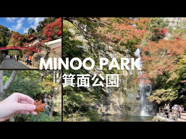 Osaka side trip: Minoo Park 🇯🇵 Japan’s top 100 waterfall Minoo Falls | Osaka Japan travel vlog