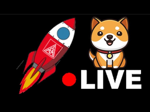 #babydoge EN VIVO Precio Y MAS! Estas en HOLD?