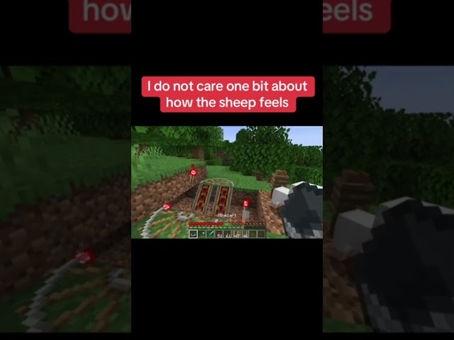 GLAD I DIDN'T OVERREACT #minecraft   #minecraftvideos   #memes  #memes   #funny  #shorts #gaming