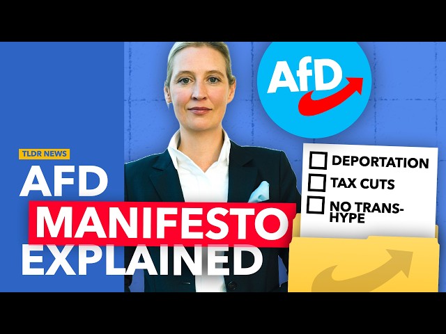 Germany's AfD Manifesto Explained