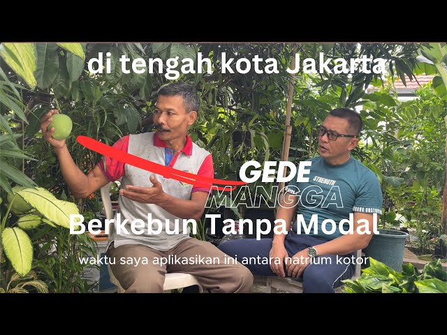 Part 1. Berkebun tanpa modal? Pupuk, olah tanah dan perawatan tanaman minim biaya, maksimal hasil