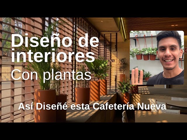 Diseño de Interiores Con Plantas - Vlog