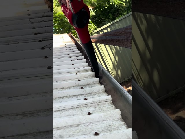 Is this how to clean gutters? #linetrimmer #leafblower #gutterclean  #asmr  #asmrsounds