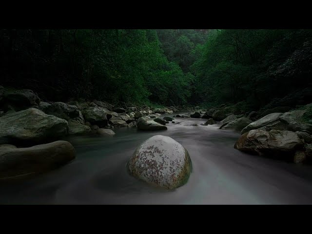 Relaxing Forest Sounds for Deep Sleep: Mountain Stream & Water Flow Ambience