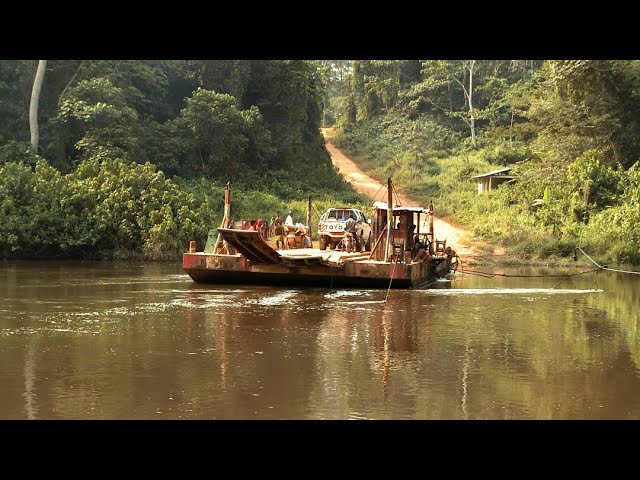 Les trésors du Grand Sud (Cameroun)