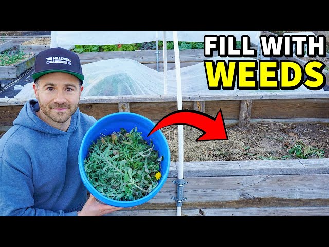 I'm Filling My Raised Bed Garden With WEEDS To Boost Growth!