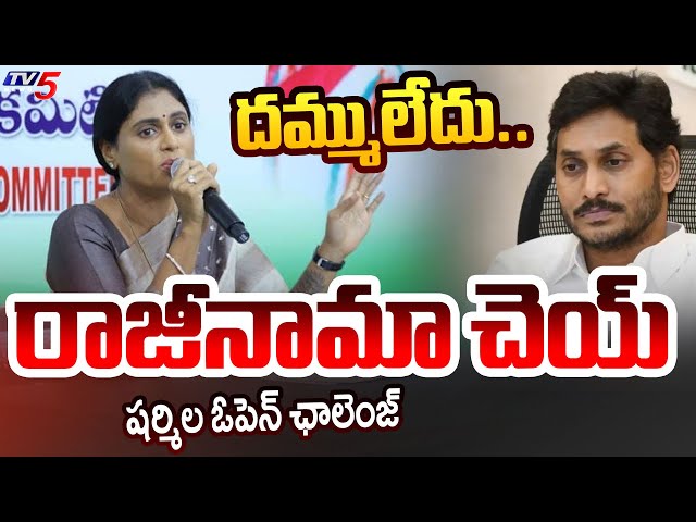 YS Sharmila Open Challenge to YS Jagan Mohan Reddy On Resign | Congress Vs YSRCP | AP Politics | TV5