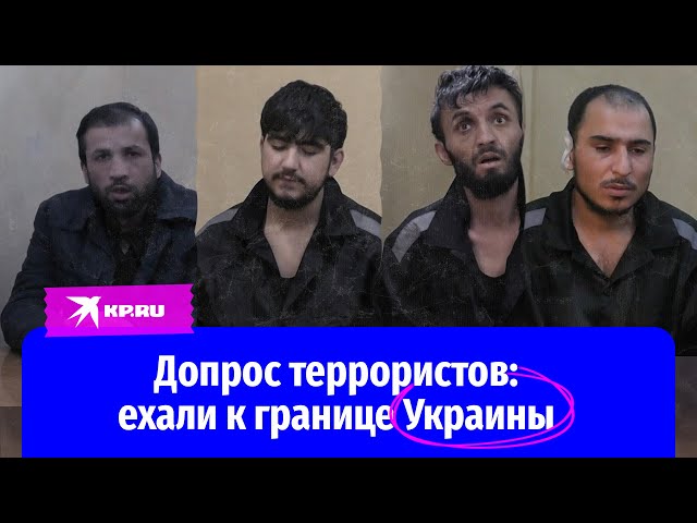 Террористы, напавшие на «Крокус», сообщили о планах побега на Украину