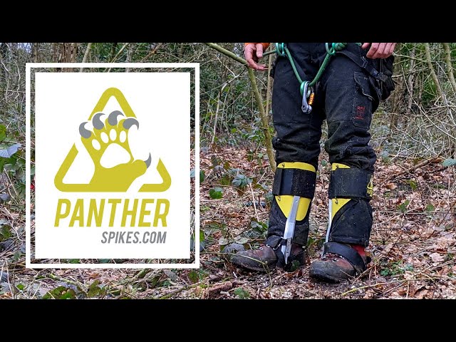 PANTHER CLIMBING SPIKES | Tree climbing Spurs/ Gaffs (First Time Use)