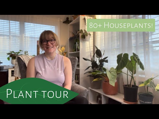 80+ Houseplant Tour: 2022 Wrap Up Plant Collection