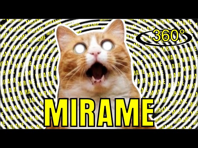 BEST DANK CAT MEMES COMPILATION OF 2020 360° (FUNNIEST)