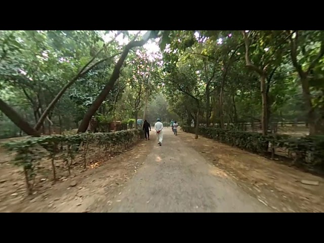 Jahanpanha forest "a look inside" - 3D VR180 video