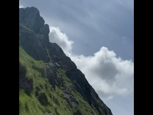 SPORTTROTTER OFF-ROADS (LA RHUNE summit : surprise reaching the top)