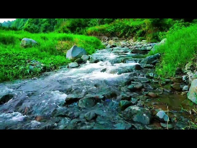 Relaxing River Sound Guaranteed your stress will disappear and your sleep will become soundly