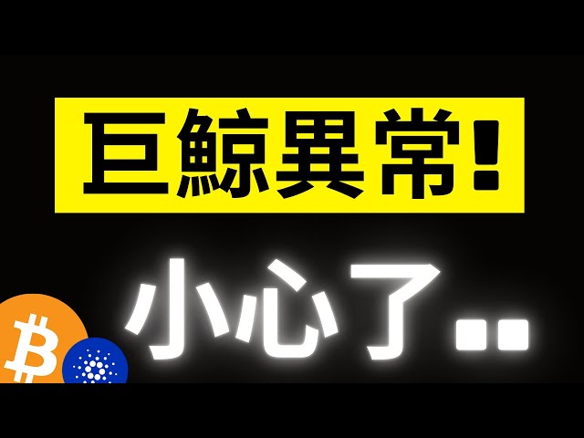 比特幣下殺5000美金! 巨鯨數據出現異常..注意了! ETH重點關注3000，ADA最好能這樣走.. #eth #ada