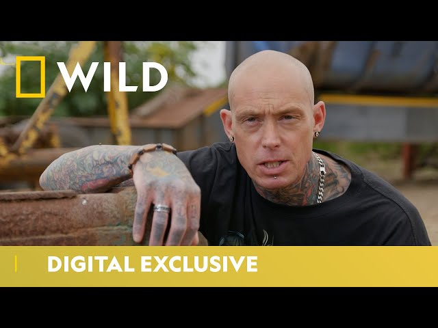 Freeing A 7-Foot-Long Forest Cobra | Snakes In The City | National Geographic WILD UK