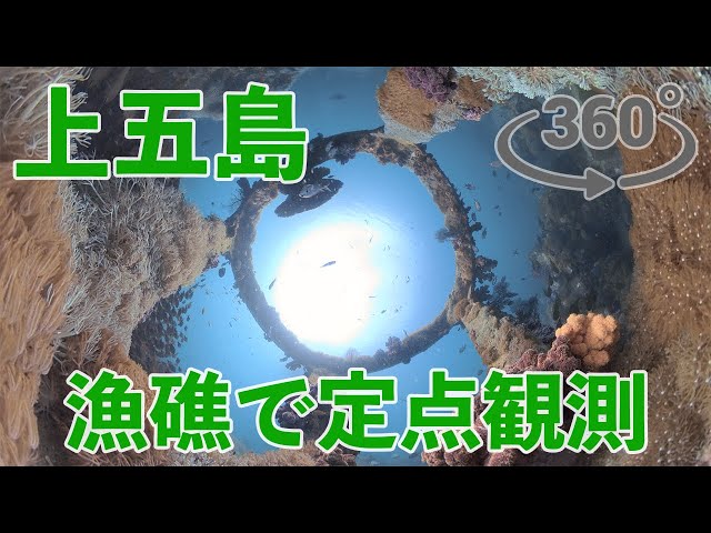 360 camera in the center of the artificial reef - Kamigoto