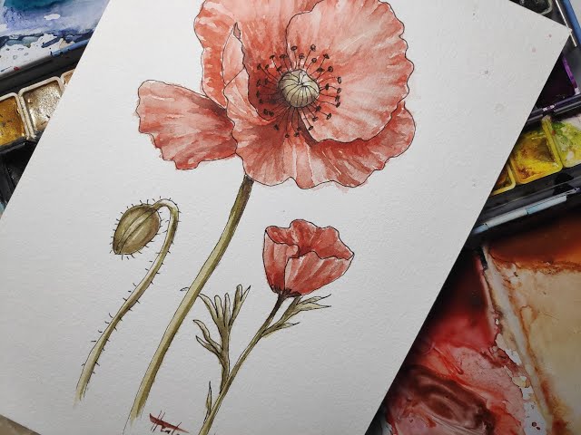 How to Paint Beautiful Poppies Using Just 3 Colors?