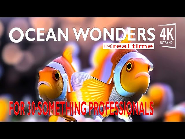 Ocean Wonders-Beautiful 4K Coral Reef Fish With Stress Relief -World of Marine Life videos