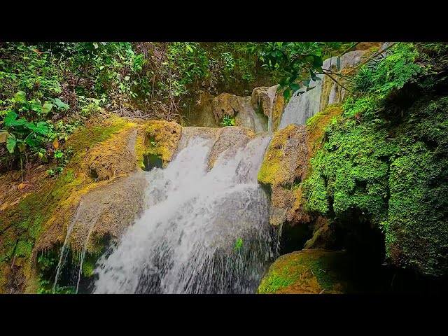 03/02 Rainforest Meditation: Tranquility by the River Forest River Soundscape: Nature