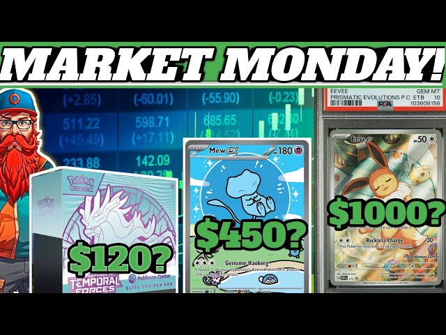 POKEMON MARKET MONDAY! Weekly Investing, Collecting & News Update!