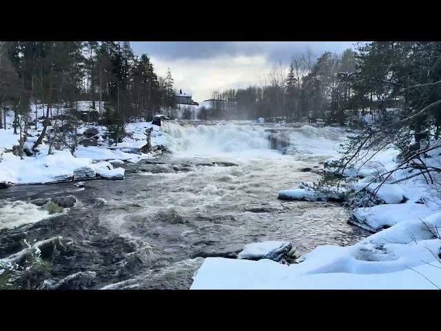 Relaxing Waterfall Sounds | 12 Minutes of Pure Nature