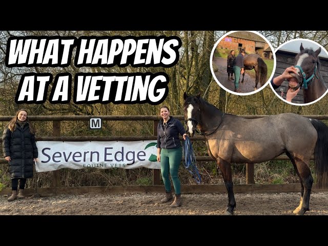 VET SERIES - What to expect at a 2 or 5 stage vetting.