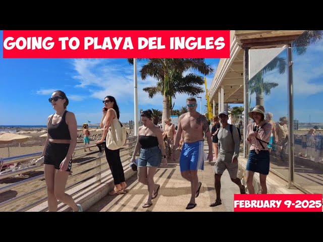 Gran Canaria🌴GOING TO PLAYA DEL INGLES-FEBRUARY 2025