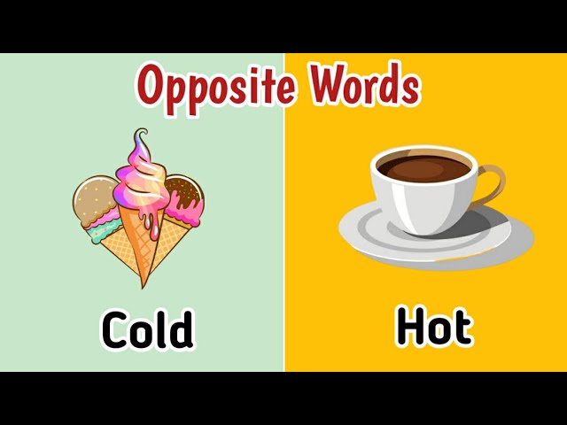 Opposite Words in English | Antonyms | Opposite Words for Kids | Kids English