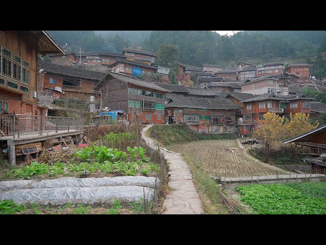 China rural village walk. Life in a traditional village on terraced fields. Baiyan(白岩村), Guizhou・4K