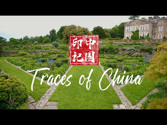 (4K) Traces of China 01: The Chinese revolution in British garden design