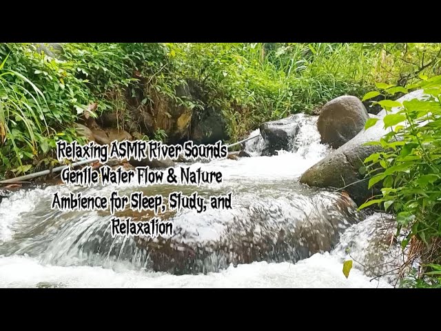 Relaxing ASMR River Sounds | Gentle Water Flow & Nature Ambience for Sleep, Study, and Relaxation