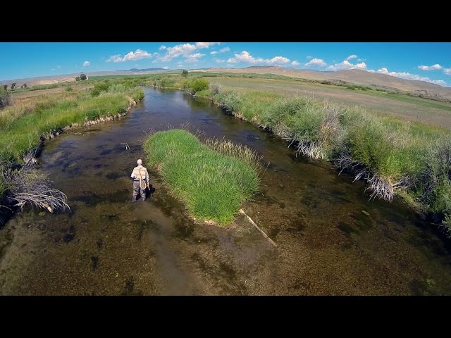 HATCH - BIG SKY PMDs - Montana Spring Creek Fly Fishing by Todd Moen