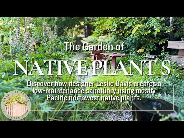 The PNW Native Plant Garden Sanctuary of Landscape Designer Leslie Davis