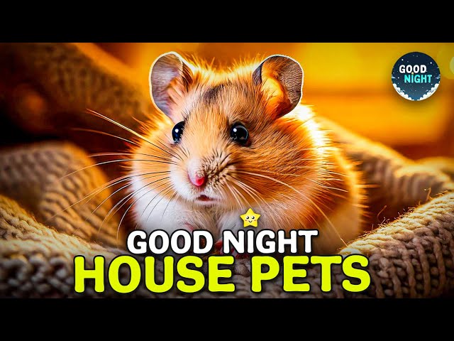 Good Night House Pets Video - Bedtime Stories for Kids