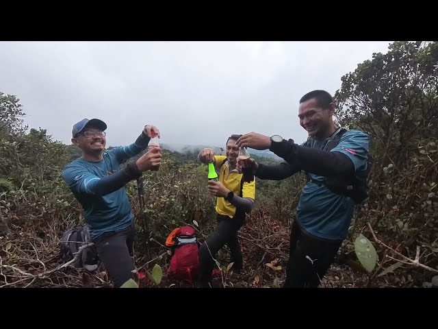 Gunung Brinchang Barat Cameron Highland