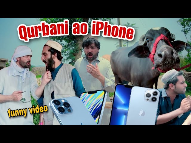 Qurbani Ao IPhone Funny Video By PK Vines 2022/ pk plus vines