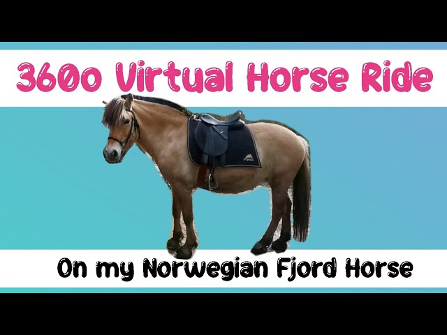 INSTA360 ONEX HORSE RIDING THROUGH WOODLAND ON A FJORD HORSE VIRTUAL REALITY