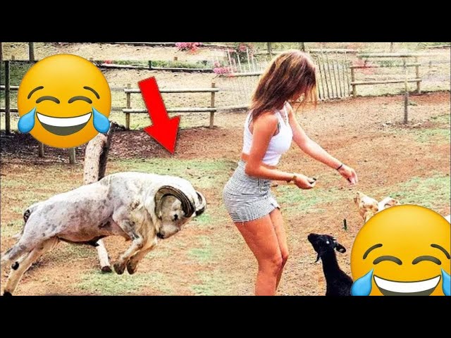 Total Idiots at Work 😂 | Epic Fails Caught on Camera – Try not to laugh impossible | Level 56