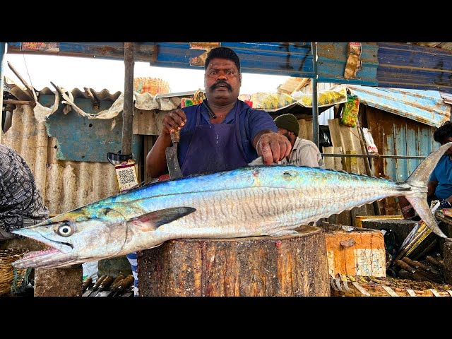 KASIMEDU 🔥 SPEED SELVAM | BIGG 16 KG HUGE SEER FISH CUTTING VIDEO | IN KASIMEDU | FF CUTTING 🔪