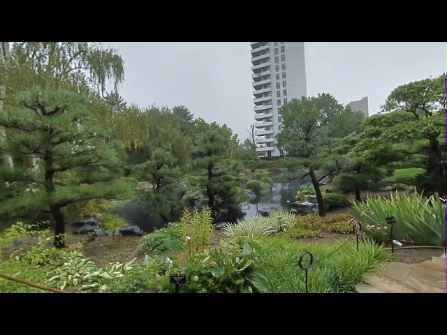 The Tea Garden in the Rain  Denver Botanical Gardens in 3D 180