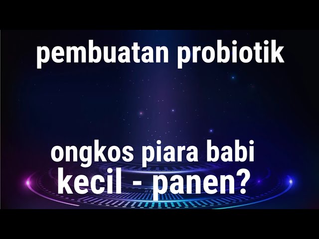 Pembuatan PROBIOTIK|Pengeluaran Beternak Babi Dari Kecil-Panen #indomor_farm