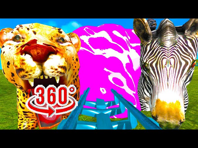 Roller Coaster Music synchronized to Animals in VR 360