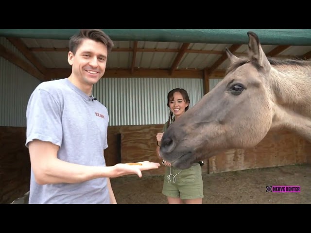 Horse Scares Daily Dose of Internet