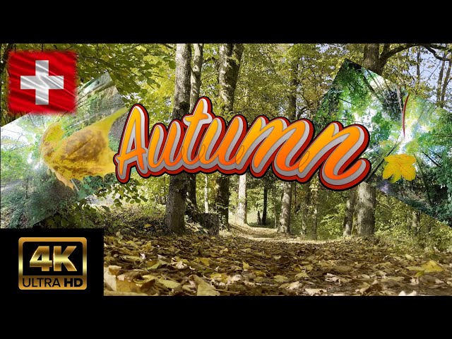 Magical Autumn Walk Along the Ilfis River | Stunning Fall Colors in the Emmental | 360° Footage 🍁🍂