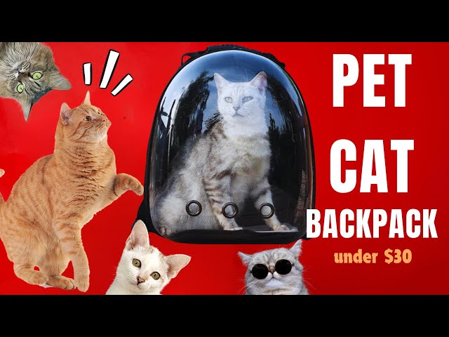 Backpack Carrier Cat | Cat Backpack Revolution: The Future of Pet Travel  #Cat #CatLover