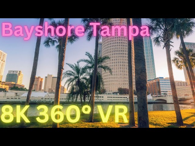 Drive down Bayshore Blvd | 8K | 360°| VR | Tampa Florida 2024 | Season 1 EP 3