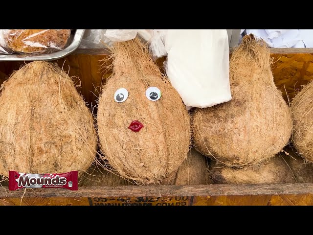 Cocadas: The Delicious Coconut Cookies of Northern Peru